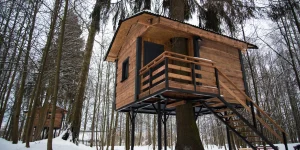 Build the Perfect Backyard Tree House Fast: Safe, Affordable, and Unforgettable