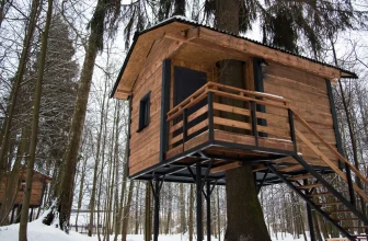 Build the Perfect Backyard Tree House Fast: Safe, Affordable, and Unforgettable