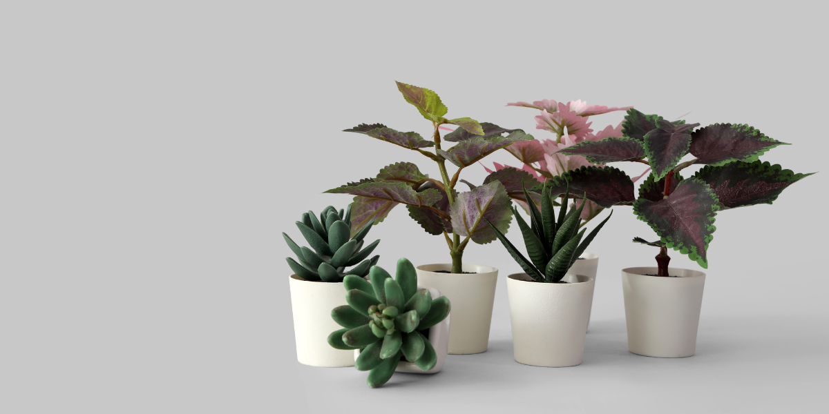 5 Best Artificial Plants That Look So Real, You’ll Forget They’re Fake 5 Best Artificial Plants That Look So Real, You’ll Forget They’re Fake