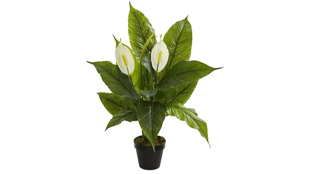 real touch silk plant