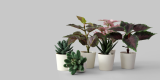 5 Best Artificial Plants That Look So Real, You’ll Forget They’re Fake